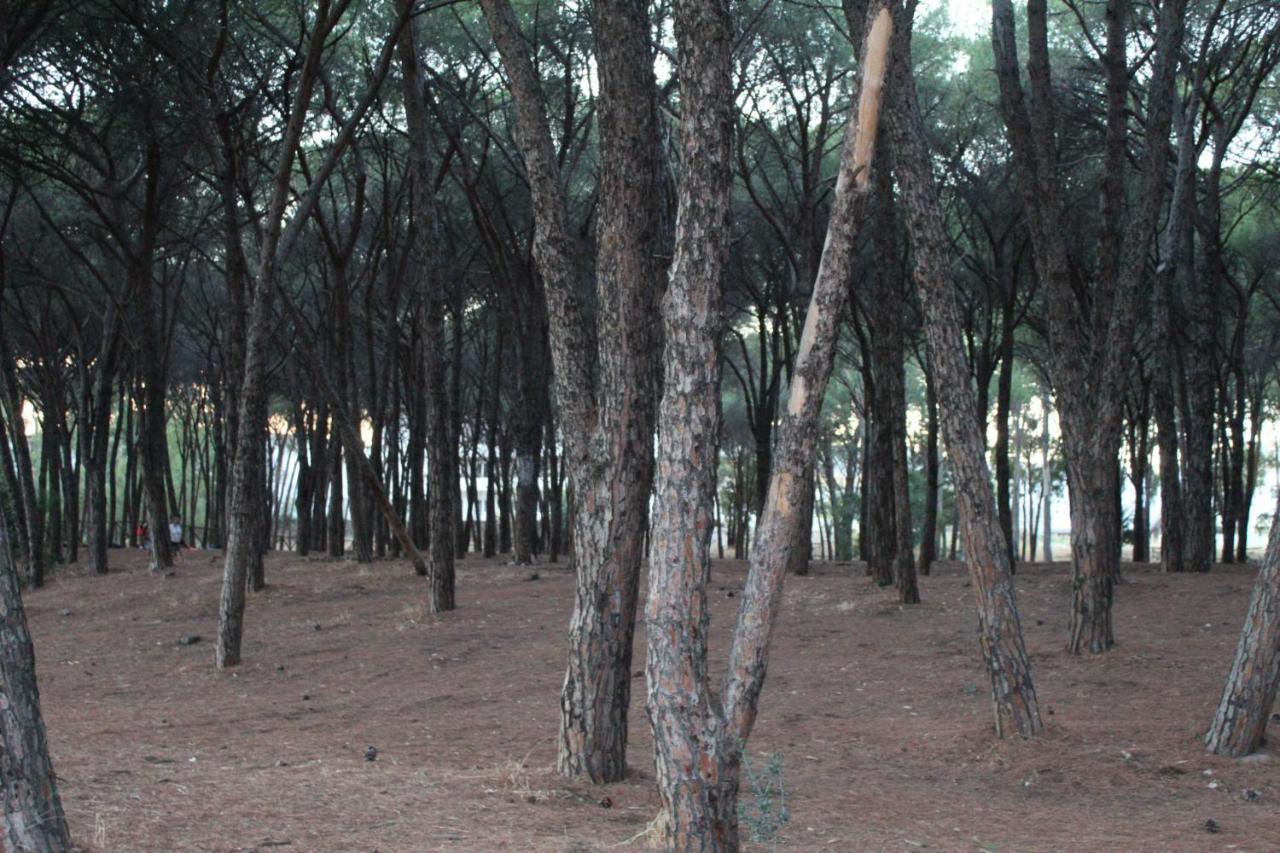 Park Hotel Le Dune Di Giovino Catanzaro Ngoại thất bức ảnh